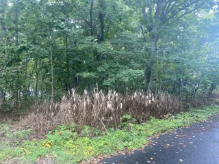 458084033_532605112502526_4984736758724444748_n