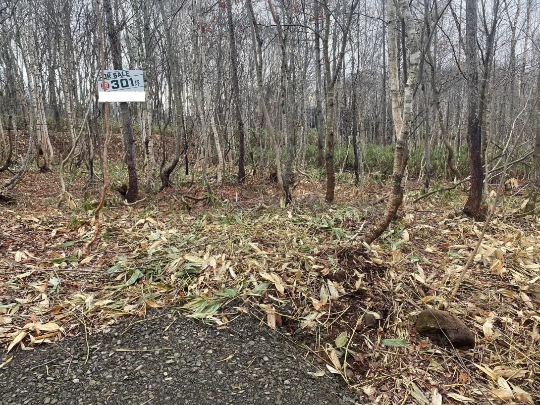 301 Land #3